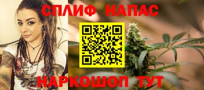 хмурый Краснознаменск
