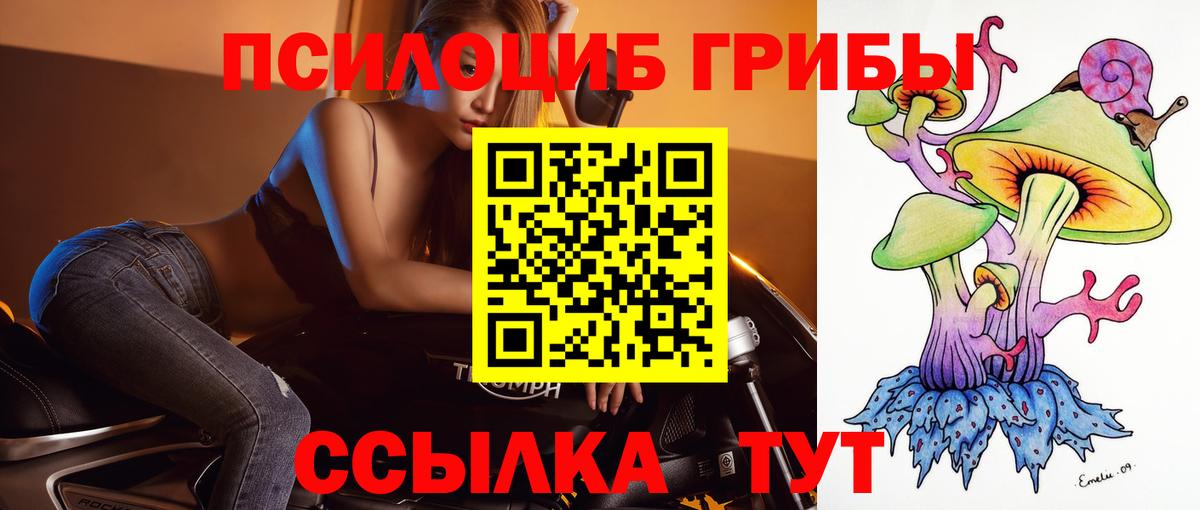 Псилоцибиновые грибы Cubensis Губаха