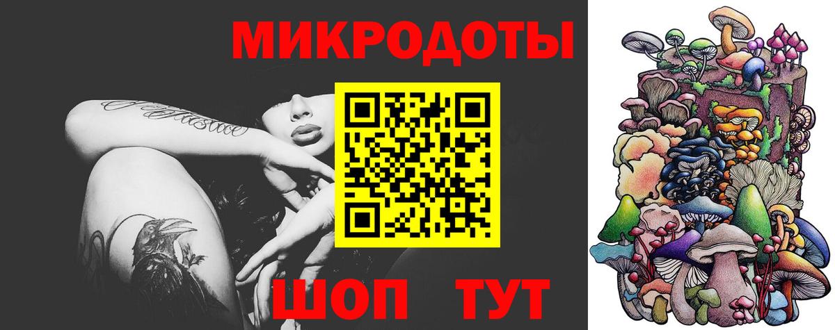 Псилоцибиновые грибы Psilocybe  Вход с VPN  Псилоцибиновые грибы прущие грибы  Губаха 